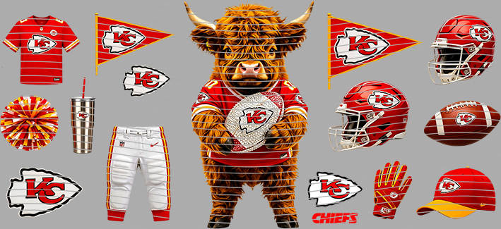 16oz team-NFL 3454
